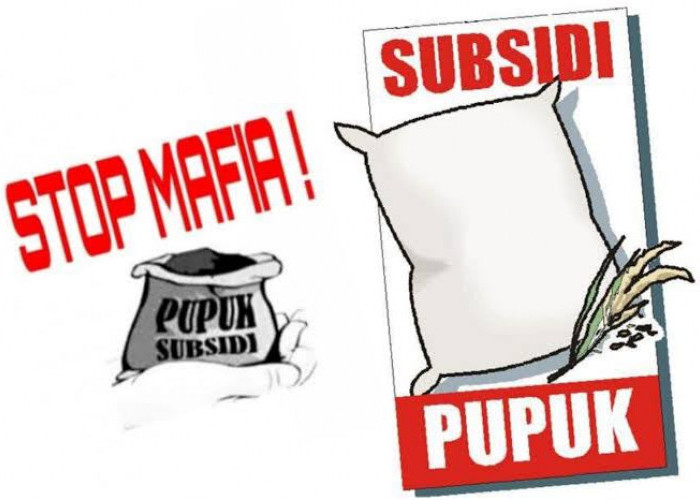 Mukomuko Darurat Penyalahgunaan! Pupuk Subsidi Diduga Banyak di Kuasai Oknum Pengusaha Sawit