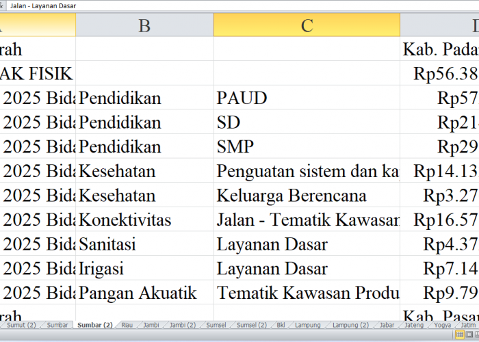 Pagu Dana DAK Fisik 2025 Sumatera Barat: Kabupaten Padang Pariaman, Pesisir Selatan, dan Kepulauan Mentawai