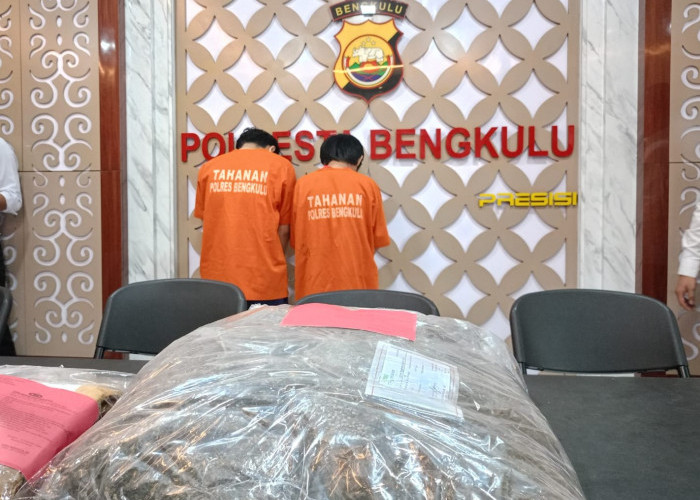 Dua Mahasiswa Bengkulu Ditangkap Saat Transaksi 6 Kg Ganja, Terlibat Jaringan Lintas Provinsi