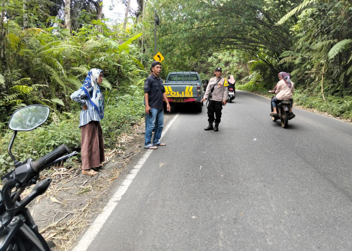 ASN Dibegal di Jalur Curup–Lubuklinggau, Pelaku Nekat Meski Ada Patroli Polisi