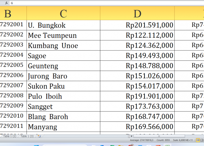 Detail Dana Desa 2025 di Pidie Provinsi Aceh: Simak Pembagian untuk Desa P-Y dari Total Rp502,7 Miliar