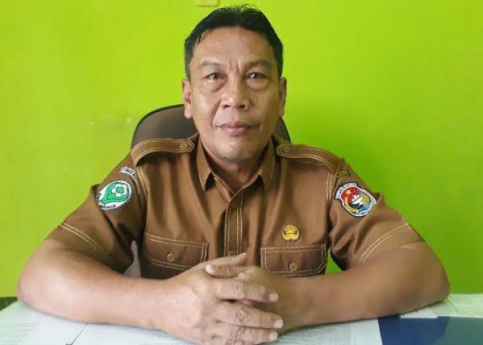 Kasus DBD di Mukomuko Turun Drastis, Dinkes Tetap Imbau Masyarakat Waspada