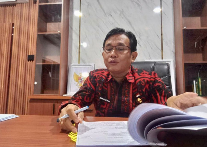 Kasus DBD di Bengkulu Melonjak Akibat Hujan, Warga Diminta Waspada Nyamuk Aedes Aegypti