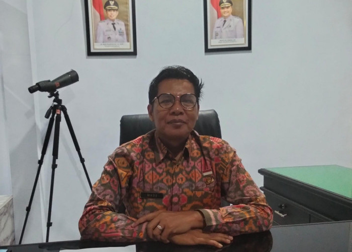 Malam Tahun Baru Diterjang Cuaca Ekstrem, BPBD Catat 11 Titik Pohon Tumbang di Bengkulu