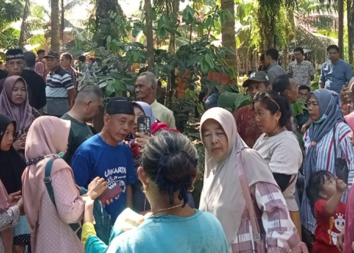 Tangis Haru Warga Air Palik Menyambut Kebebasan 9 Petani Korban Konflik PT BRS dari Penjara