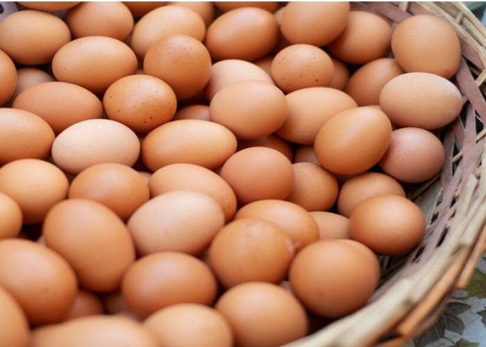 Panduan Praktis Memilih Telur Berkualitas dan Segar, Ini Dia 7 Tips Mudah!