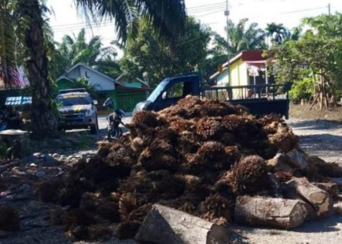 Lagi, Warga Blokade Jalan Masuk Perusahaan Sawit di Mukomuko Bengkulu, Ini Pemicunya