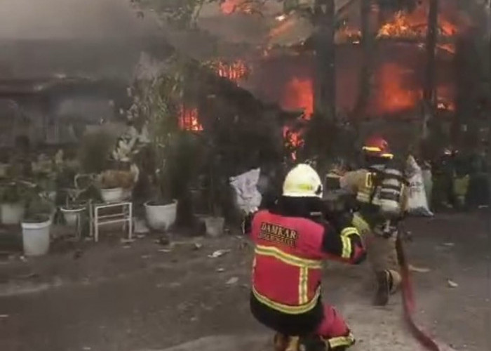 Satu Rumah dan Mobil Ludes Terbakar di Cempaka Permai Bengkulu, Pemilik Dilarikan ke RS
