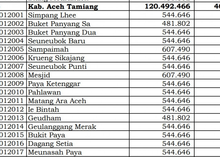 Dana Desa Tiap Desa 2024 di Aceh Tamiang: 23 Desa 1 Miliar
