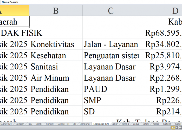 Rincian Pagu Dana DAK Fisik 2025 Lampung: Kabupaten Mesuji, Tulang Bawang Barat, dan Pesisir Barat