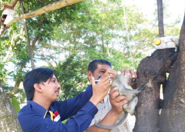 Mukomuko Siapkan 1.300 Dosis Vaksin Rabies, 17 Rabies Center Didirikan