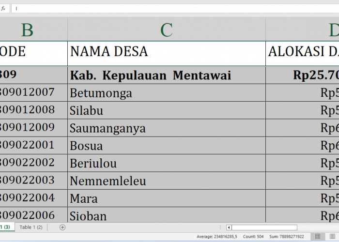 Dana Desa 2025 Kepulauan Mentawai Rp45,6 Miliar: Rincian Lengkap dan Desa Terbesar Penerima