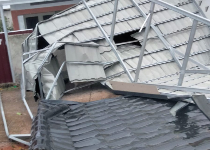 Cuaca Ekstrem Terjang Bengkulu, 11 Pohon Tumbang dan 10 Atap Rumah Terbang