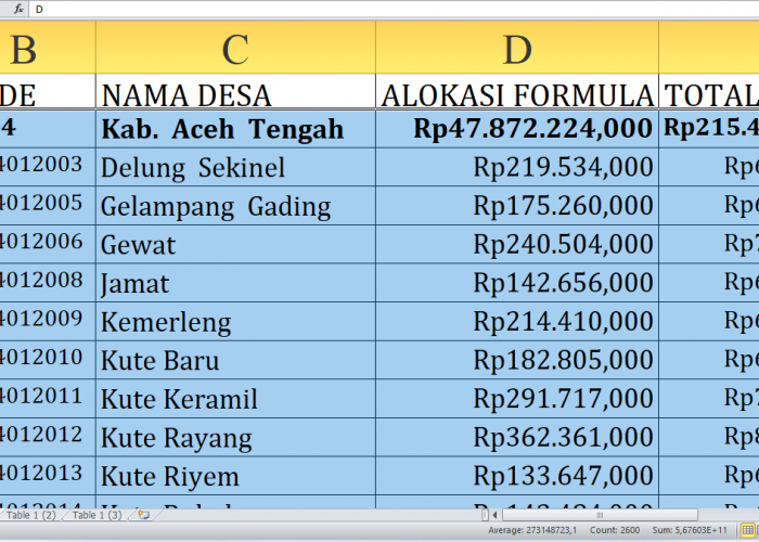 Mau Tahu Desa Mana yang Paling Untung dari Dana Desa 2025 di Aceh Tengah? Cek Sekarang Desa A-K!