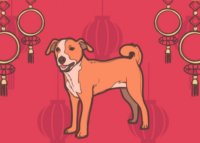 Ramalan Kesulitan Karier Shio Anjing di Awal Tahun Ular Kayu 2025