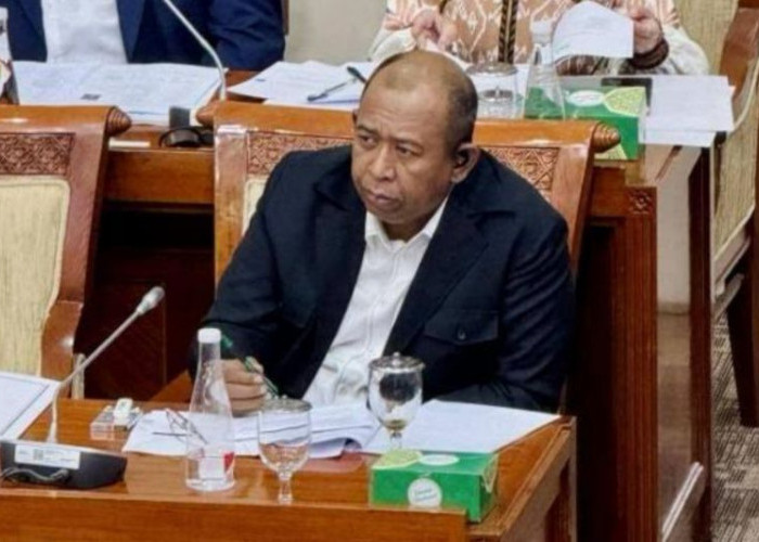 Budaya Pop 'One Piece' Jadi Sorotan DPR, Rizki Faisal Ingatkan Jangan Kaburkan Nilai Kebangsaan