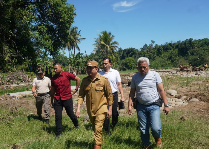 Gotong Royong Lawan Banjir, Bupati Bengkulu Utara Turun Tangan Pasang Bronjong Demi Sawah Petani
