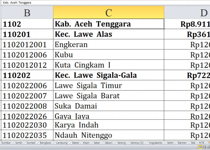 74 Desa di Kabupaten Aceh Tenggara Raih Dana Insentif Desa Tahun 2024