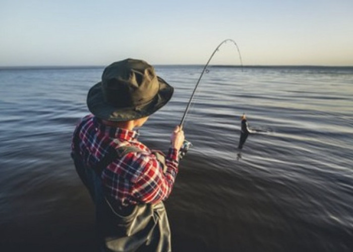 10 Cara Memancing Ikan dan Teknik Mudah untuk Pemancing Pemula