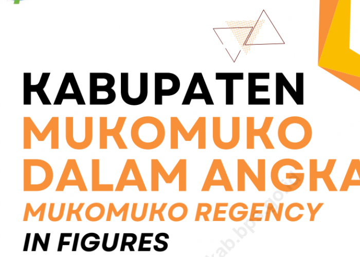 BPK Soroti Anggaran Pengawasan Mukomuko, Hanya 0,34 Persen dari APBD