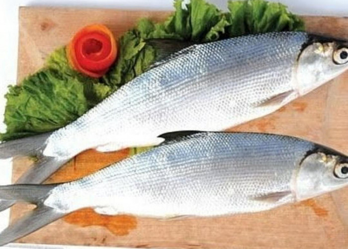 7 Manfaat Ikan Bandeng untuk Kesehatan, Salah Satunya Merawat Tulang dan Gigi