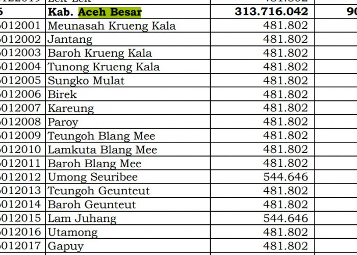 Dana Desa Tiap Desa 2024 di Aceh Besar: 8 Desa 1 Miliar