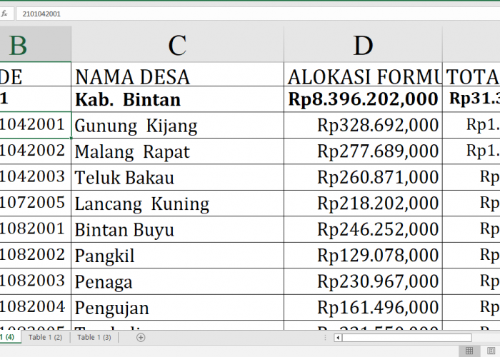 Dana Desa 2025 untuk Bintang dan Karimun Provinsi Kepulauan Riau: Berikut Rinciannya