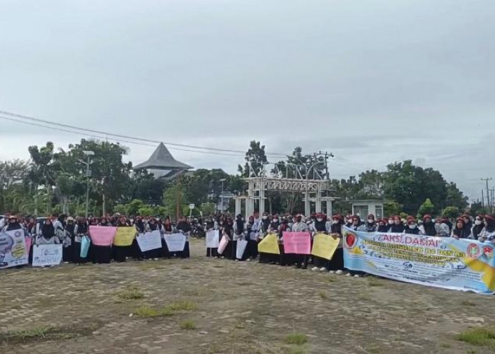 Demo Heboh di Mukomuko, Tenaga Pendidik Tuntut PPPK Penuh Waktu