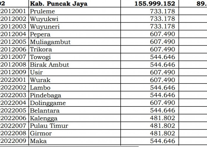 Dana Desa Tiap Desa 2024 di Puncak Jaya, Papua Tengah: 48 Desa 1 Miliar