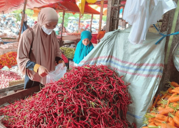 Harga Cabai Merah di Kota Bengkulu Turun Menjadi Rp18 Ribu per Kilogram, Apa Penyebabnya?