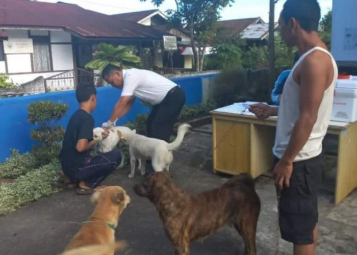 Distankan Rejang Lebong Gelar Vaksinasi Massal untuk Cegah Rabies di Tengah Peningkatan Kasus Gigitan