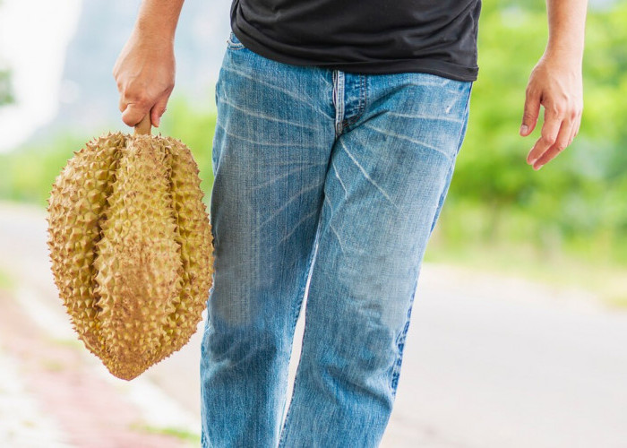 Penawar Mabuk! Ini Cara Mengatasi Kepala Pusing dan Berat Setelah Makan Durian