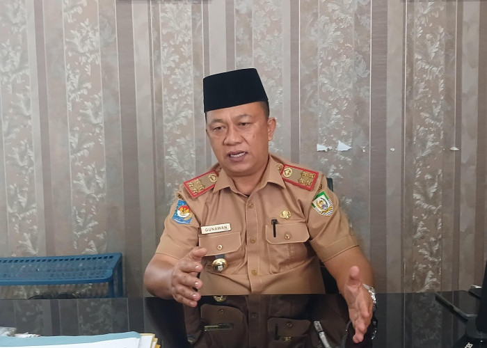 Puluhan Pelamar CPNS di Bengkulu Gagal Lolos Seleksi, BKD Imbau Pendaftar Lebih Teliti