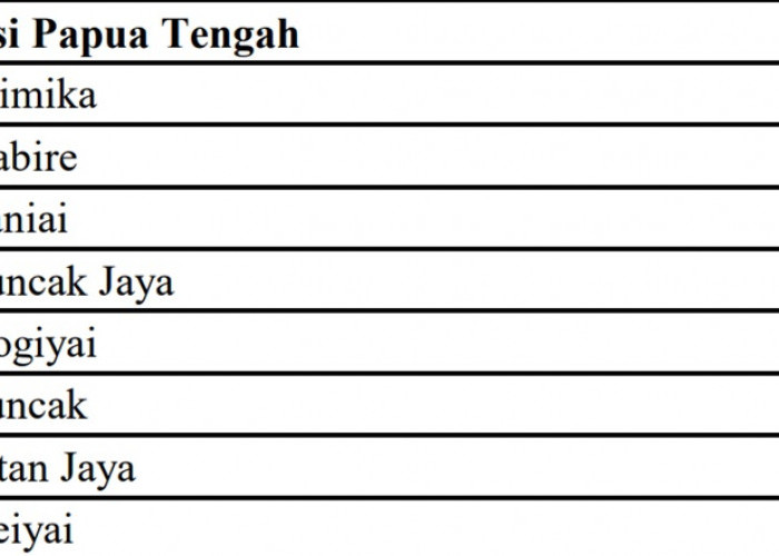 Dana Desa (DD) 2024 untuk Provinsi Papua Tengah: Puncak Jaya Terbesar