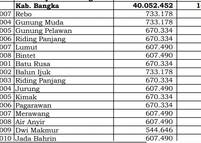 Berapa Rincian Dana Desa 2024 Bangka, Bangka Belitung? Cek Jawabannya di Sini