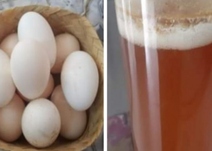 Apa Manfaat Telur Ayam Kampung Dicampur Madu? Ini Dia 6 Manfaatnya
