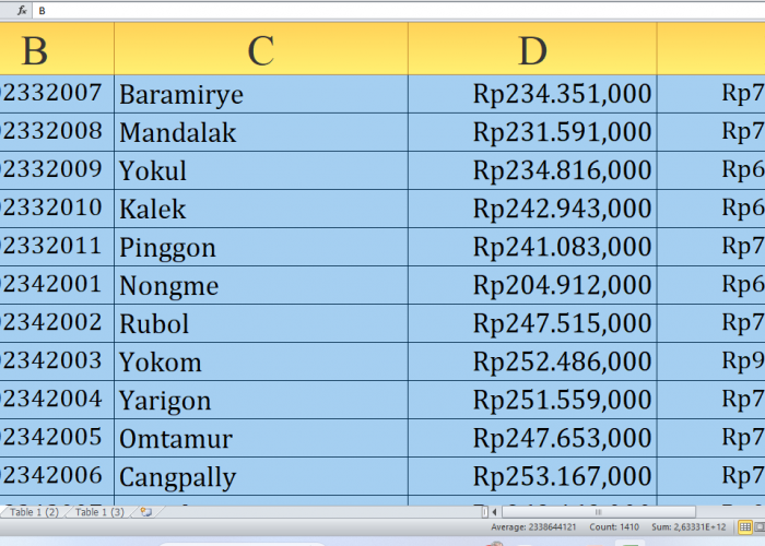 Cek Alokasi untuk Desa M-Y! Rp237,6 Miliar Dana Desa Mengalir ke Pegunungan Bintang