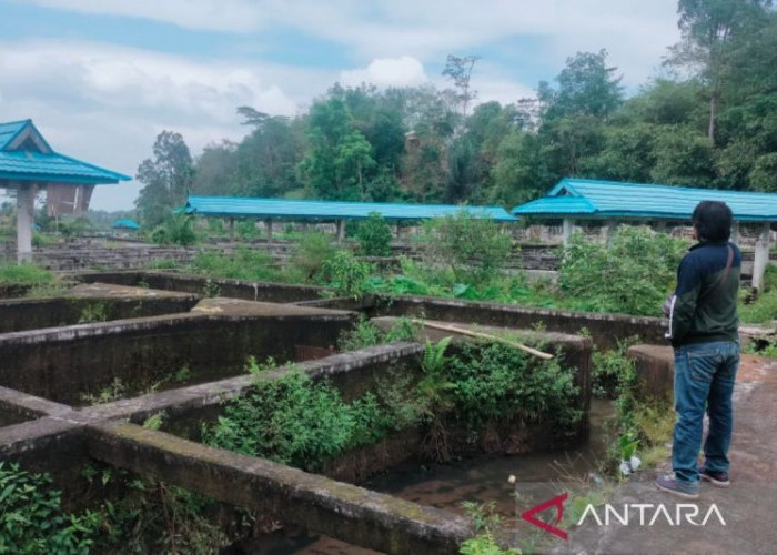 42 Kolam Terbengkalai di Rejang Lebong Disiapkan Jadi Pilot Project Dongkrak PAD