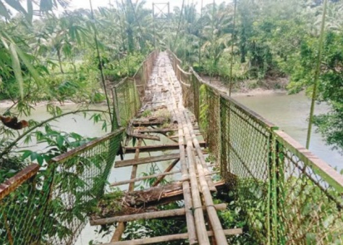 Lihat Jembatan di Bengkulu Selatan Ini Butuh Perbaikan Segera