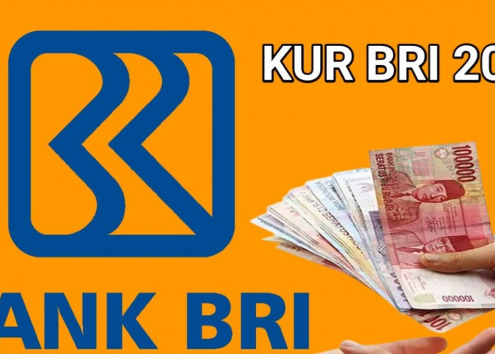 KUR Bank BRI, Pinjaman Rp 1 Juta, Angsuran Hanya Rp 21.667 per Bulan 