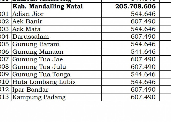 Simak Rincian Dana Desa 2024 Mandailing Natal, Sumatera Utara: 24 Desa 1 Miliar