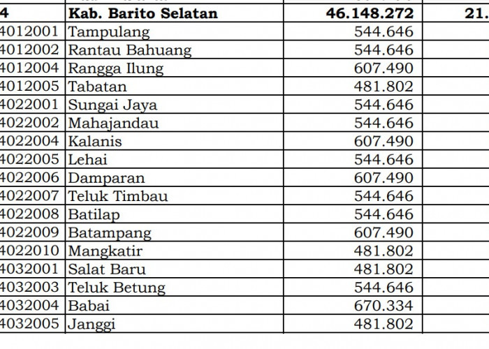 Rincian Dana Desa 2024 Barito Selatan, Kalimantan Tengah: Simak Jawabannya di Sini