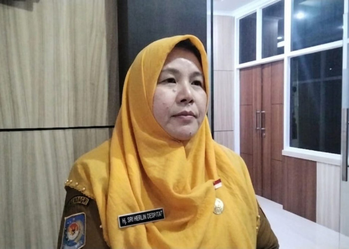 Program Cetak Sawah Bengkulu Mulai Panen, Target Produksi Padi Capai 10.000 Ton per Tahun