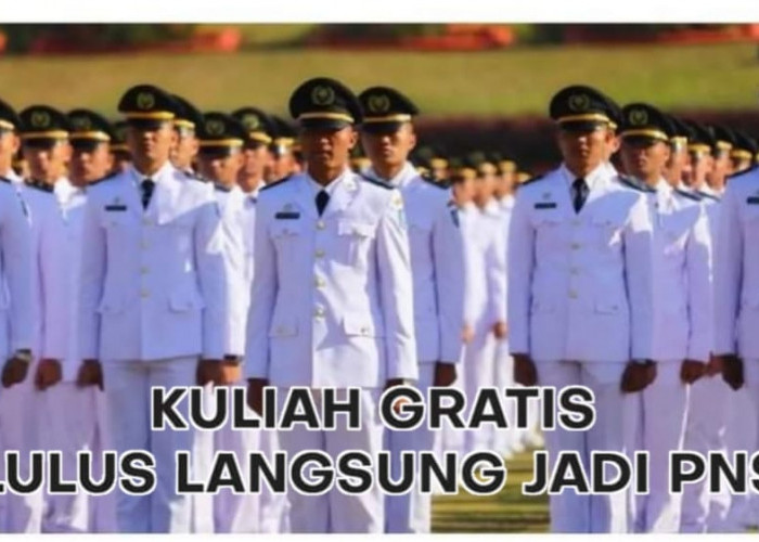 Info Terbaru! Ini 7 Sekolah Kedinasan di Indonesia yang Lulusannya Langsung Diangkat jadi CPNS