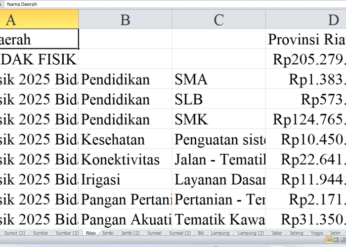 Rincian Pagu Dana DAK Fisik 2025 untuk Provinsi Riau: Fokus pada Pendidikan, Kesehatan, dan Infrastruktur