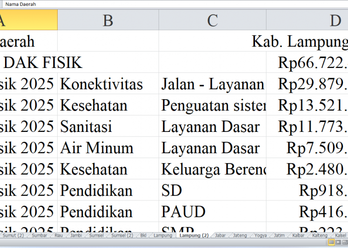 Rincian Pagu Dana DAK Fisik 2025 untuk Lampung: Kabupaten Lampung Tengah, Tulang Bawang, dan Pringsewu