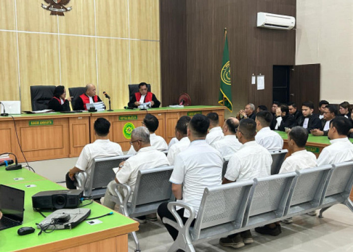 Vonis Kasus Tambang: Bebby Hussy Total 4 Tahun 7 Bulan, Hakim Sebut Kerugian Lingkungan Bukan Ranah Tipikor