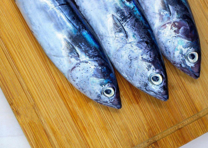 Ikan Tongkol Sering Bikin Gatal? Ini Cara Mengolah Ikan Tongkol agar Tidak Beracun