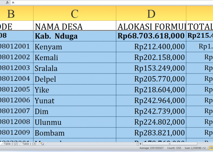 Rincian Dana Desa 2025 Nduga Provinsi Papua Pegunungan: Desa Mana yang Dapat Kucuran Terbesar?