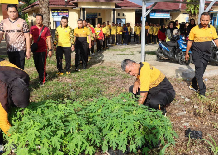 Polres Bengkulu Selatan Tanam 300 Bibit Pepaya, Dukung Ketahanan Pangan dan Solidaritas Personel